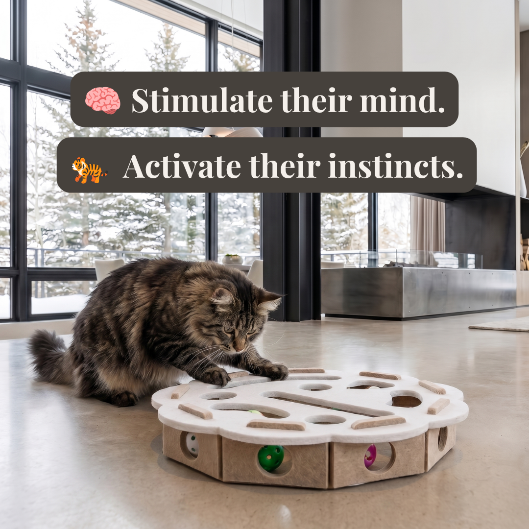 Felivyn™ Enrichment Puzzle