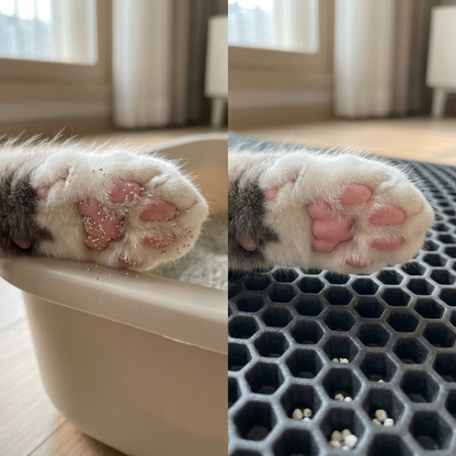 Granix™ by Felivyn - Clean paws after every visit.