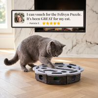 Felivyn™ Enrichment Puzzle